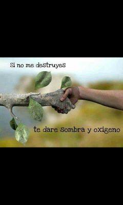Amante de la naturaleza.
En esta cuenta también verás un poco de humor, tecnología y actualidad.
Comenta en Post que te guste y sígueme, yo te seguiré de vuelta