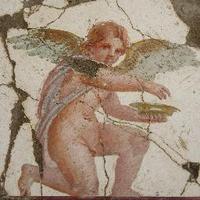 CARC (@carc_oxford) 's Twitter Profile