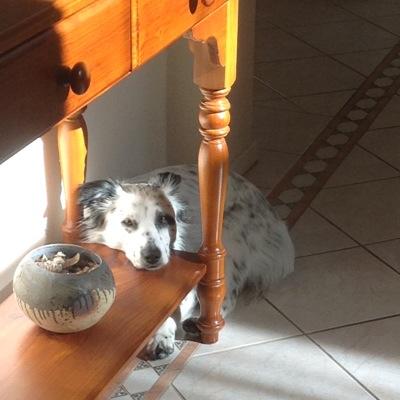 ALCOLA's profile picture. 