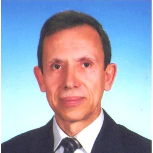 ulvisipal's profile picture. sipalulvi@gmail.com