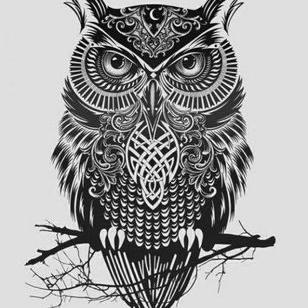 Profile Picture of Nightowl (@roymclaughlin81) on Twitter