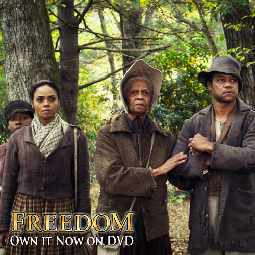 FreedomFilm2015's profile picture. Two men separated by 100 years are united in their search for freedom.