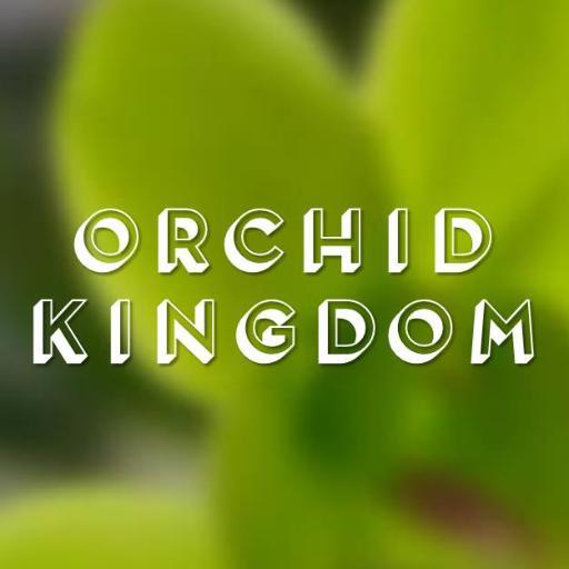 Orchidkingdom Profile Picture
