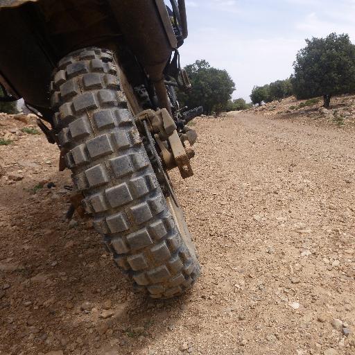 _MarkR_'s profile picture. Likes motorcycling. Has necessary evils.