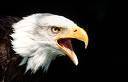 Offshore Services - Webhosting - Domains- vServer - dedicated Server - Security Services - we protect you!
