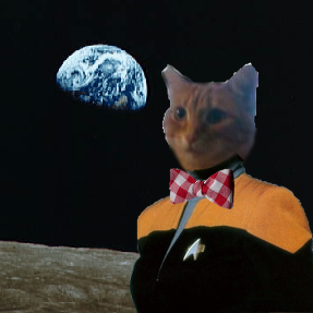 Spot_Kitty's profile picture. Lieutenant JG in Pawfleet, Master at pinning TBM.