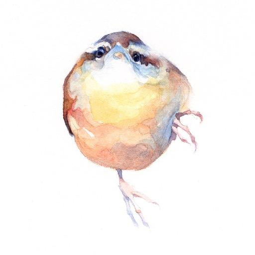 Birdspotさんのプロフィール画像