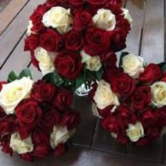 BettyWelsh60's profile picture. Wealth & Health Entrepreneur