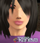 We make the Virtual World go round