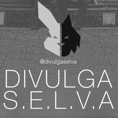 Twitter de divulgação! Siga e acompanhe as contas oficiais: Facebook: /musicselva | Instagram: weareselva