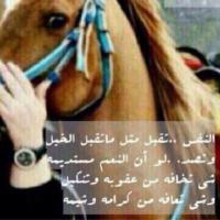 •• دآنآ •• (@d_a_n_a111) 's Twitter Profile
