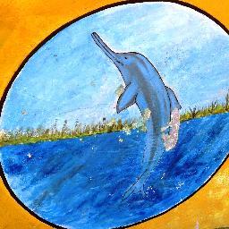 RiverDolphinNep's profile picture. We are working to conserve river dolphins and their habitat in Nepal.