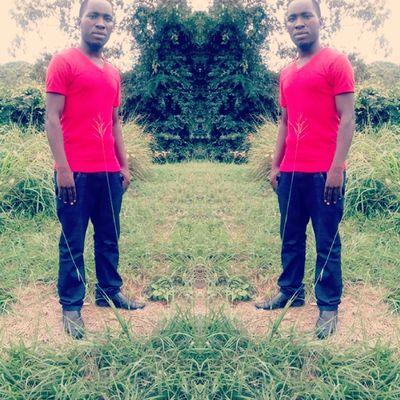 RemijoSanga's profile picture. 