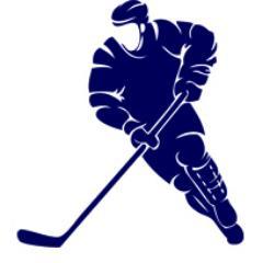 ASHI Hockey Profile