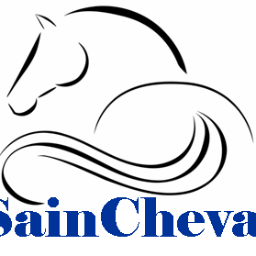 saincheval's profile picture. 
