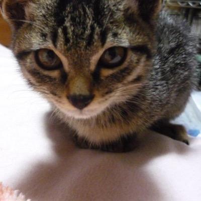 Kyamakyama86's profile picture. 