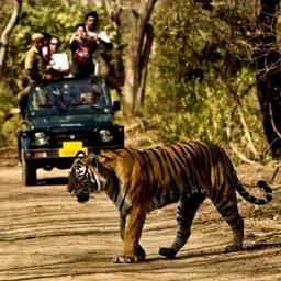 Jim Corbett National Park is the Worlds Largest Tiger Populated Reserve in @Ramnagar_

@Nainital District

https://t.co/zorgwmqxwS