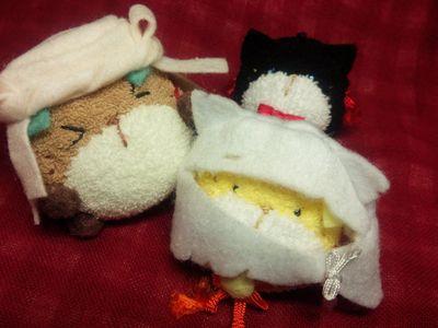 Buchiさんのプロフィール画像