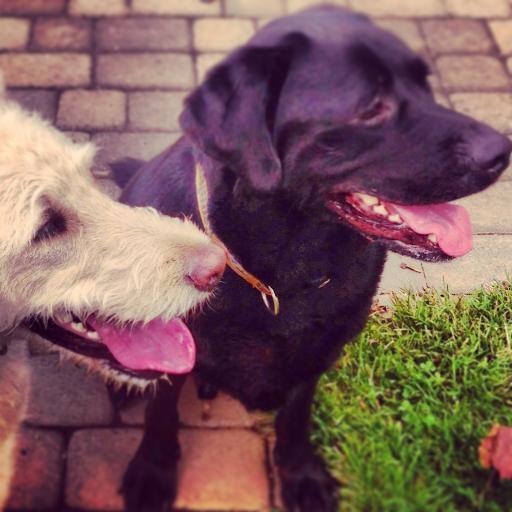 teri_gil's profile picture. 