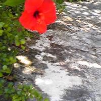 夏季氷 ユウ (@seafront_777) 's Twitter Profile