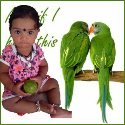 VenkateshPadam1's profile picture. 