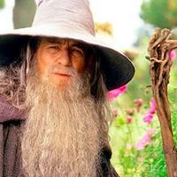 Gandalf (@wiseoldwizard_) 's Twitter Profile