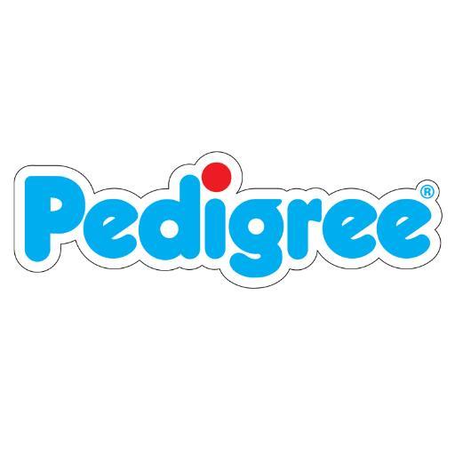 News on Pedigree Books - the market leader in Annuals, Yearbooks and related activity formats