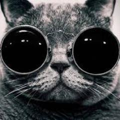 Top888Cams's profile picture. PornKing