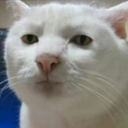 Ray Silva - @Technogiggle - Twitter