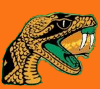 Chicago Rattlers of THE Florida Agricultural and Mechanical University...Where the Rattlers strike, strike and strike again!!!