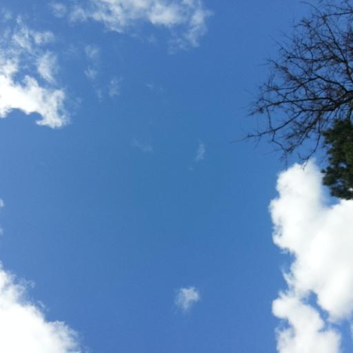 orderpicker's profile picture. 