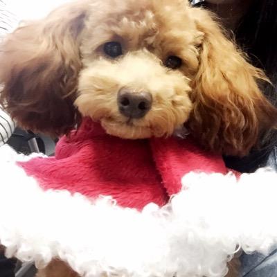 くーちゃむ Sk Twitter