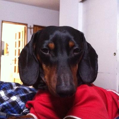 dr_mondaca's profile picture. 