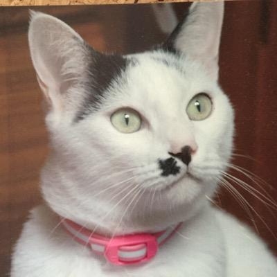 まめたろうさんのプロフィール画像