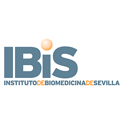 Cuenta oficial del Instituto de Biomedicina de Sevilla, espacio de investigación multidisciplinar sobre patologías prevalentes, con transferencia a la clínica.