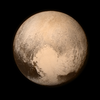 Pluto Coniglio (@plutoconiglio) 's Twitter Profile