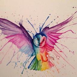 MaisonduHibou's profile picture. 