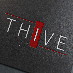 Thive_dev's profile picture. We are two students from Germany. Our vision is to create high quality games with ambition, passion and fun.