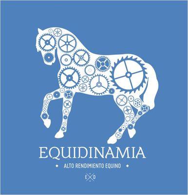 Fisioterapia y Rehabilitación Equina.            
Equine Rehabilitation. Madrid, Spain.