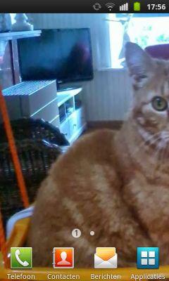 famhartman's profile picture. 