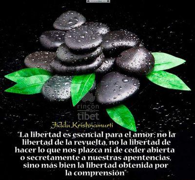 chesitanueva's profile picture. musicologa.2.0