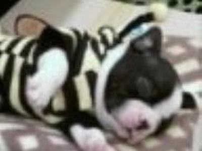 HSpacesuit's profile picture. vocês me ensinaam que eu deveria seguir uma só dirção e espero que nofinal dela eu encontre vocês.