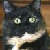 meg (@meg67000) Twitter profile photo meg (@meg67000) Twitter profile photo