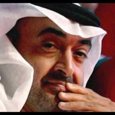 zaapi111's profile picture. 