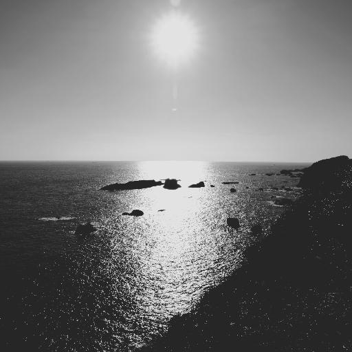 SEASHOW's profile picture. 