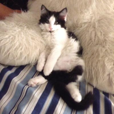 ArnoldJorja's profile picture. 