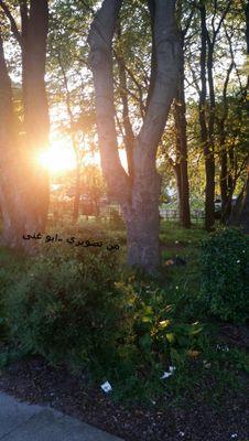 KmKrim's profile picture. 