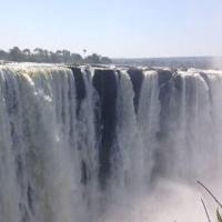 Sheree Nolan (Axon) (@shereeaxon) 's Twitter Profile