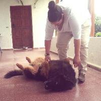 Irini Dem (@demirini) 's Twitter Profile