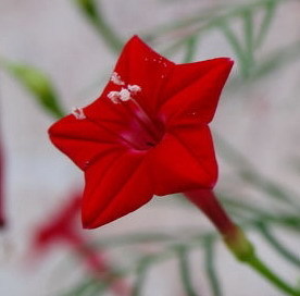 julyfire's profile picture. 80后，低学历，无理想，无志向无，无事业，三无人士。
总是跟不上时代，总是觉得很失败，薪水永远在平均工资以下，喜欢发牢骚，说话不转弯，很讨人嫌。
记性不太好，总是容易忘事。
2012年12月18日结婚。